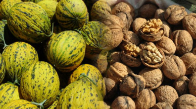 İpsala kavunu ve cevizi için marka tescil başvurusu yapıldı