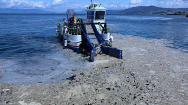 Marmara Denizi'nde "ekolojik yıkım"