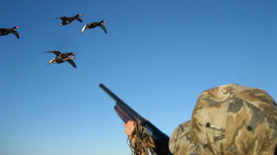 Nesli tehlikedeki kuşlar için flaş av kararı!