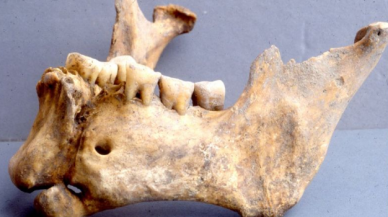 Osmanlıların kellesini aldığı Bizans savaşçısının çenesi altınla dikilmiş