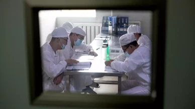 Adı yeni kondu: Bilim insanları 'Langya'yı izliyor