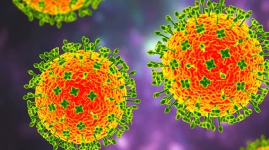 Langya virüsü nedir, nasıl bulaşır, virüsün belirtileri neler? Türkiye'de var mı?