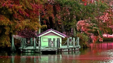 İstanbul'da sonbahar rotası önerisi: Atatürk Arboretumu