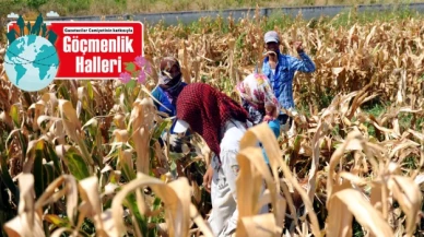 Göçmen işçi güvencesiz