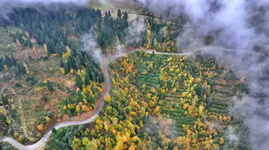 Trabzon'un yüksek kesimleri sonbahar renkleriyle büyülüyor