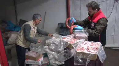 Ankara'da 16,7 ton hayvansal üründe uygunsuzluk tespit edilmesi sonrasında ürünler imha edildi