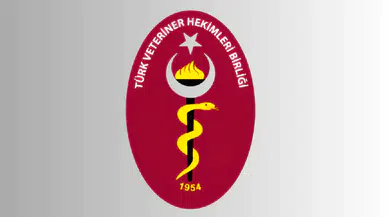 Türk Veteriner Hekimler Birliği'ne siber saldırı: 26 bin veteriner hekimin kişisel verileri çalındı