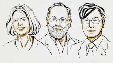 2025 Nobel Tıp Ödülü'nü kazanan isimler belli oldu
