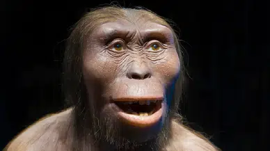 İnsan ve maymun özelliklerini taşıyan Hominin türü ortaya çıktı