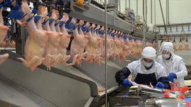 Şanlıurfa Eyyübiye'de tarihi geçmiş 183 kilo tavuk eti imha edildi!