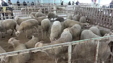 2026 Kurban Bayramı ne zaman? 9 gün tatil olacak mı?