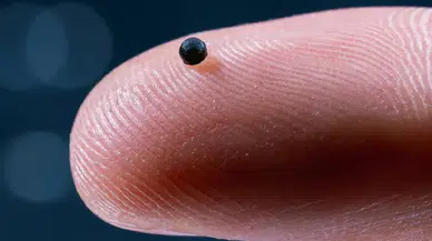 Damarlarda yüzerek ilaç taşıyan mikro robotlar test edildi