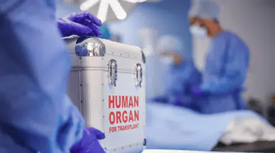 Nakledilen organın hafızası mı var? Hastaların ilginç deneyimleri