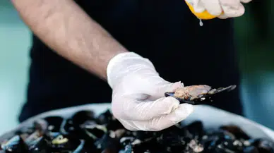 Midye ve kumpir tehlike mi saçıyor? Uzmanlardan zehirlenme uyarısı