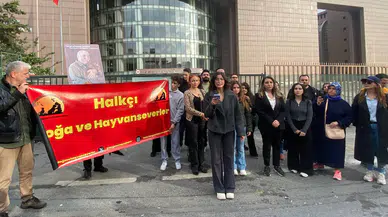 Bakırköy Adliyesi’ndeki kediler için zafer: Toplatma kararı geri çekildi