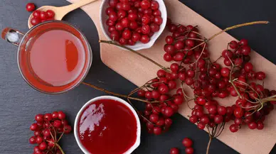 Çiftçiye yeni kazanç kapısı: Sulama istemeyen bu meyve bir yılda büyük gelir getiriyor