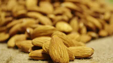 Uzmanlar uyardı: Yaşlıların uzak durması gereken kuruyemişler