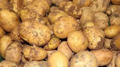 Patates fiyatı gündem oldu: Bakanlık'tan açıklama geldi