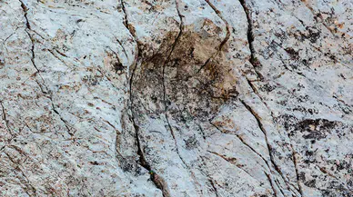 İtalya'da bir dağda binlerce dinozor ayak izi keşfedildi