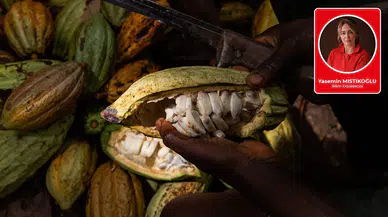 Belçika’daki çikolatadan Türkiye’deki iklim davasına