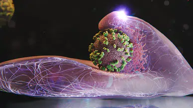 Grip virüsünün hücreye giriş anı ilk kez canlı görüntülendi