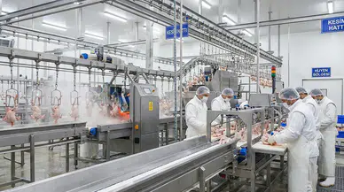 Konkordato başvurusu yapan ünlü tavuk markasına 3 ay mühlet verildi