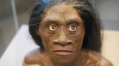 Homo Floresiensis’in gizemli yok oluşu: Bilim insanları büyük kuraklığa işaret ediyor