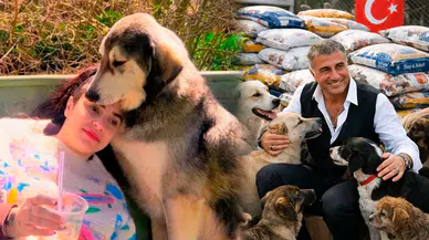 Ceylan Ertem’den hayvan hakları karşıtlarına ‘Sedat Peker’li rest: “Nerede o babayiğitler?”