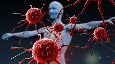 Yaşlanmaya dur diyen mRNA: Yaşlanan bağışıklık sistemi yeniden gençleştirildi