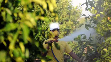 Böcek ilaçlarına reçete zorunluluğu: İnternetten satış ve reklam yasaklandı