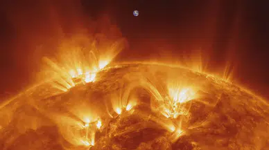 Doğada bilinmeyen doğal güneş koruyucu molekül keşfedildi