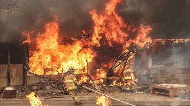 Güney Kore'deki orman yangınlarında hayatını kaybedenlerin sayısı 27'e çıktı