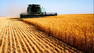 Çiftçilere yarın 2,8 milyar liralık destek ödemesi yapılacak