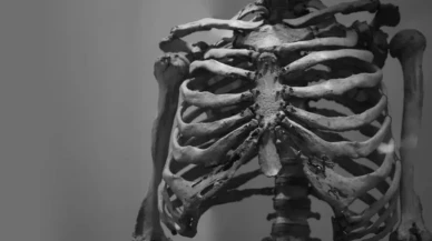 Facebook’ta insan kemikleri satışı: Kafatası, kaburga, omur