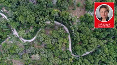 Prof. Dr. Sema Kalaycıoğlu yazdı: Derevenk’ten Koramaz’a Vadiler Boyunca Kayseri