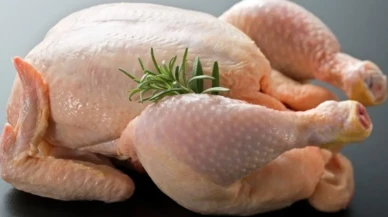 Tavuk yiyen erkek dişileşir mi? Ereksiyon problemleri, cinsel sağlık bozuklukları, meme büyümesi...