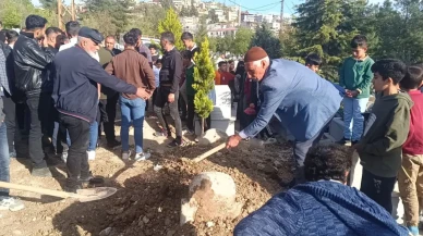 Siirt'te "mezardan ses geldi" iddiası ortalığı ayağa kaldırdı: Mezar açılınca gerçek ortaya çıktı