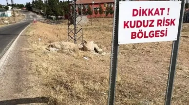 Hatay Dörtyol’da kuduz alarmı: Özerli Mahallesi karantinaya alındı