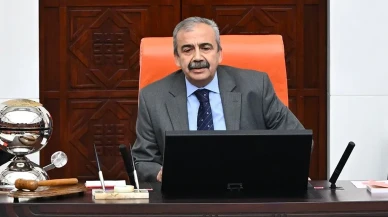 Sırrı Süreyya Önder kimdir?