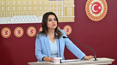 DEM Partili Koçyiğit terör örgütü lideri için konuştu: "Talebimiz Öcalan’ın fiziki özgürlüğüdür"