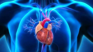 Aort yırtılması nedir, neden olur? Aort damarı neden yırtılır? Aort damar yırtılması nasıl tedavi edilir?