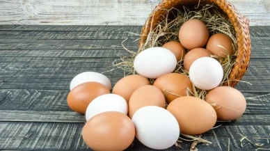 TÜİK verilerine göre tavuk yumurtası üretimi martta yıllık bazda azaldı