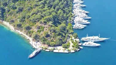 Göcek’te deniz kaplumbağaları için müzik yasağı başladı