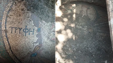 Tokat Zile'de, bahçelerinde Roma mozaiği çıkan baba ve oğul tutuklandı