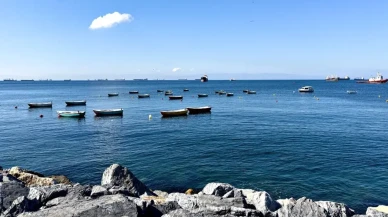 Pendik'te oltaya köpek balığı takıldı!