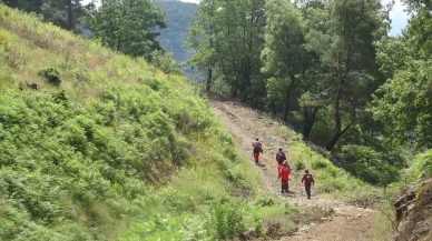 Çanakkale'de doğa yürüyüşünde kaybolan müdür yardımcısının cansız bedeni bulundu