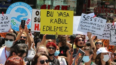 Sokak hayvanlarının yaşamını tehdit eden 'katliam yasası' bugün görüşülecek