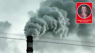 Yasemin Mıstıkoğlu yazdı: Sessiz kazananlar; Sanayiciler