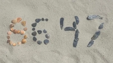 "8647" kodu güvenlik alarmı verdi: Sosyal medyadaki gizemli paylaşım inceleme altında