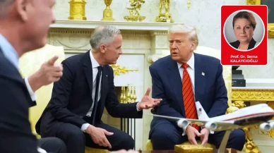 Prof. Dr. Sema Kalaycıoğlu yazdı: Bu Ayrıntılar Dikkatinizi Çekti mi?